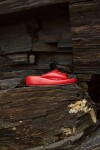 Candy Shoes Rojo