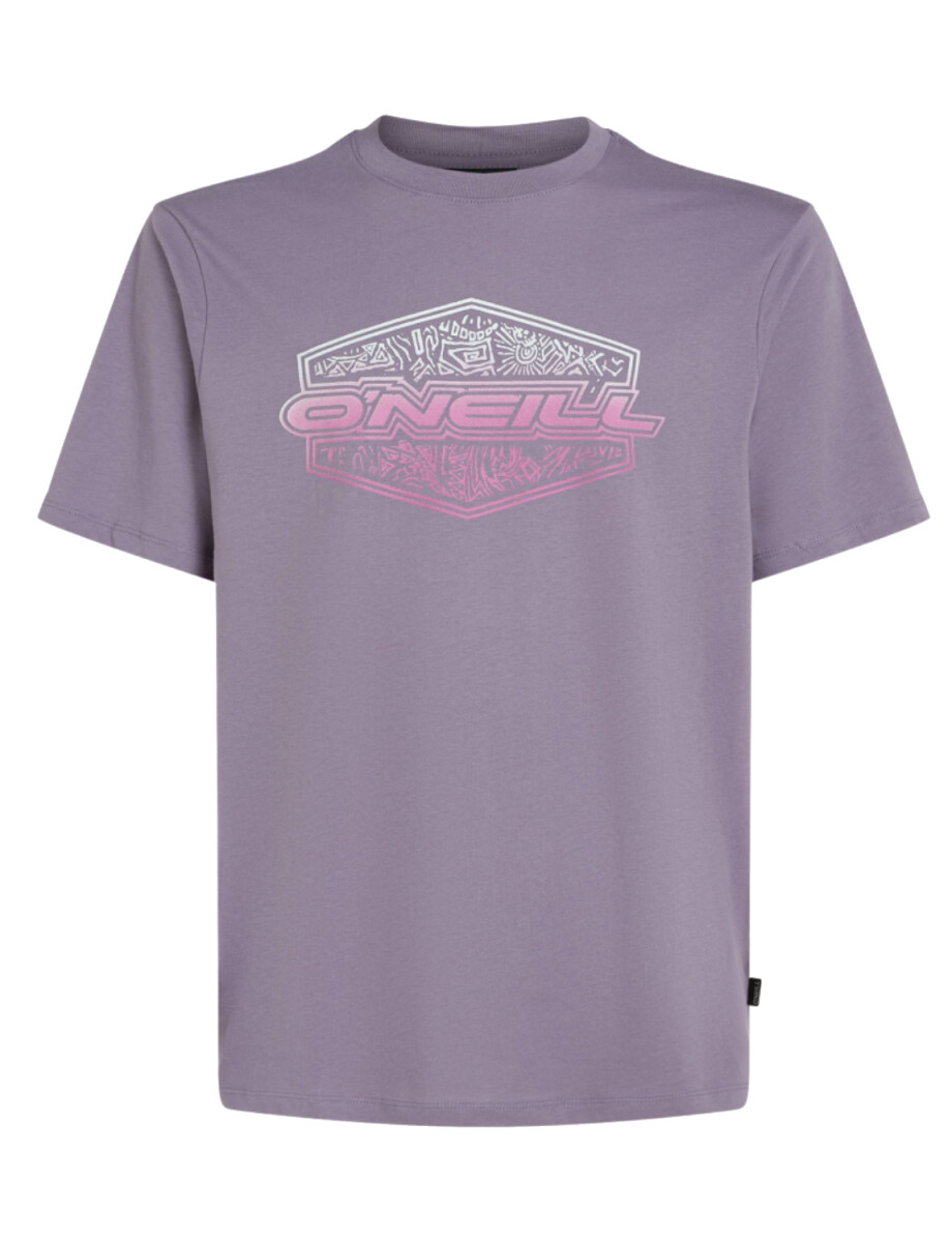 Remera O'Neill Gradient Storm 