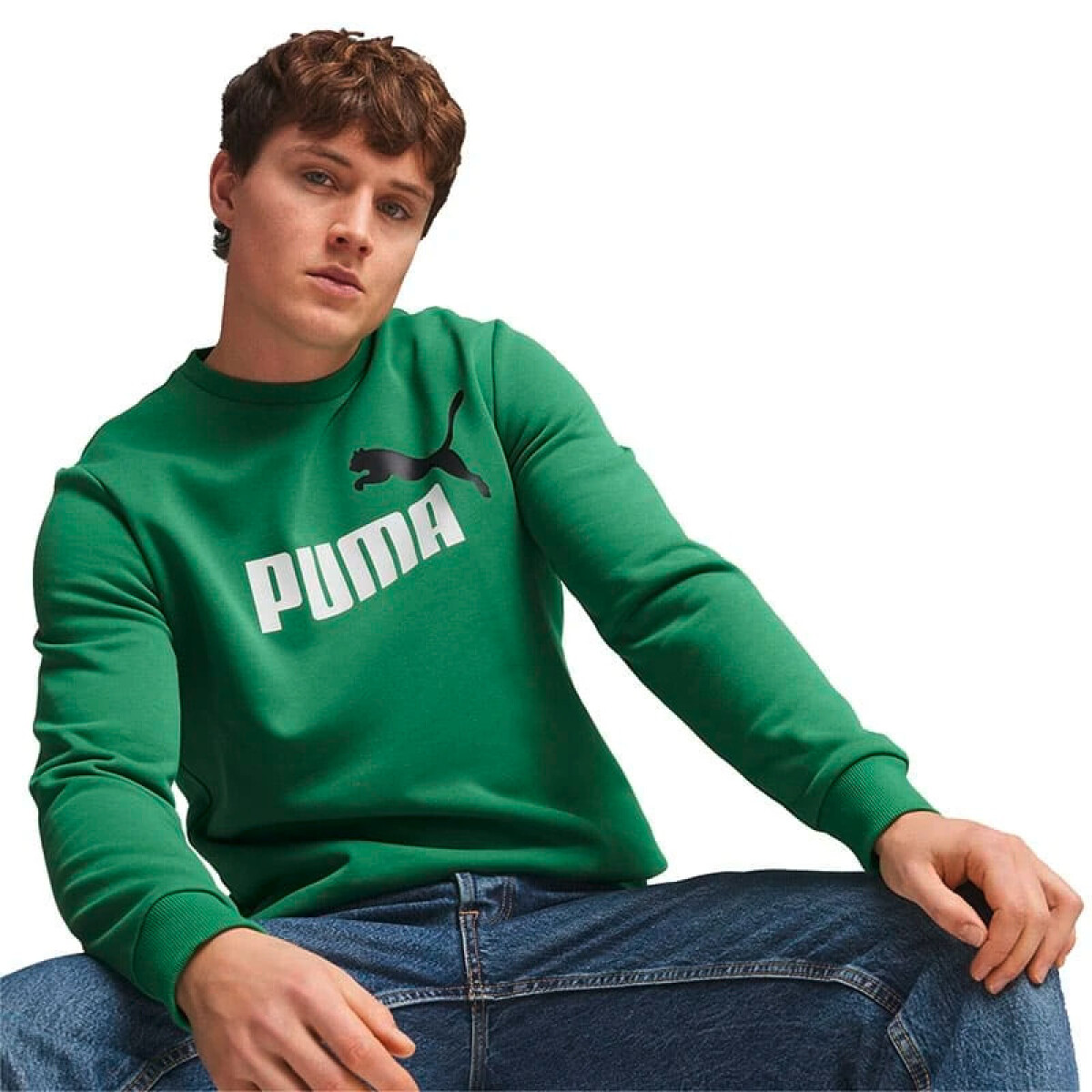 ESS+ 2 COL BIG LOGO CREW FL - Verde 