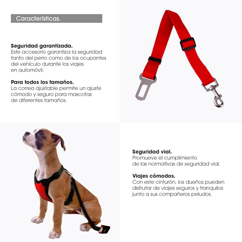 Cinturón De Seguridad Para Perros Regulable Correa Color negro