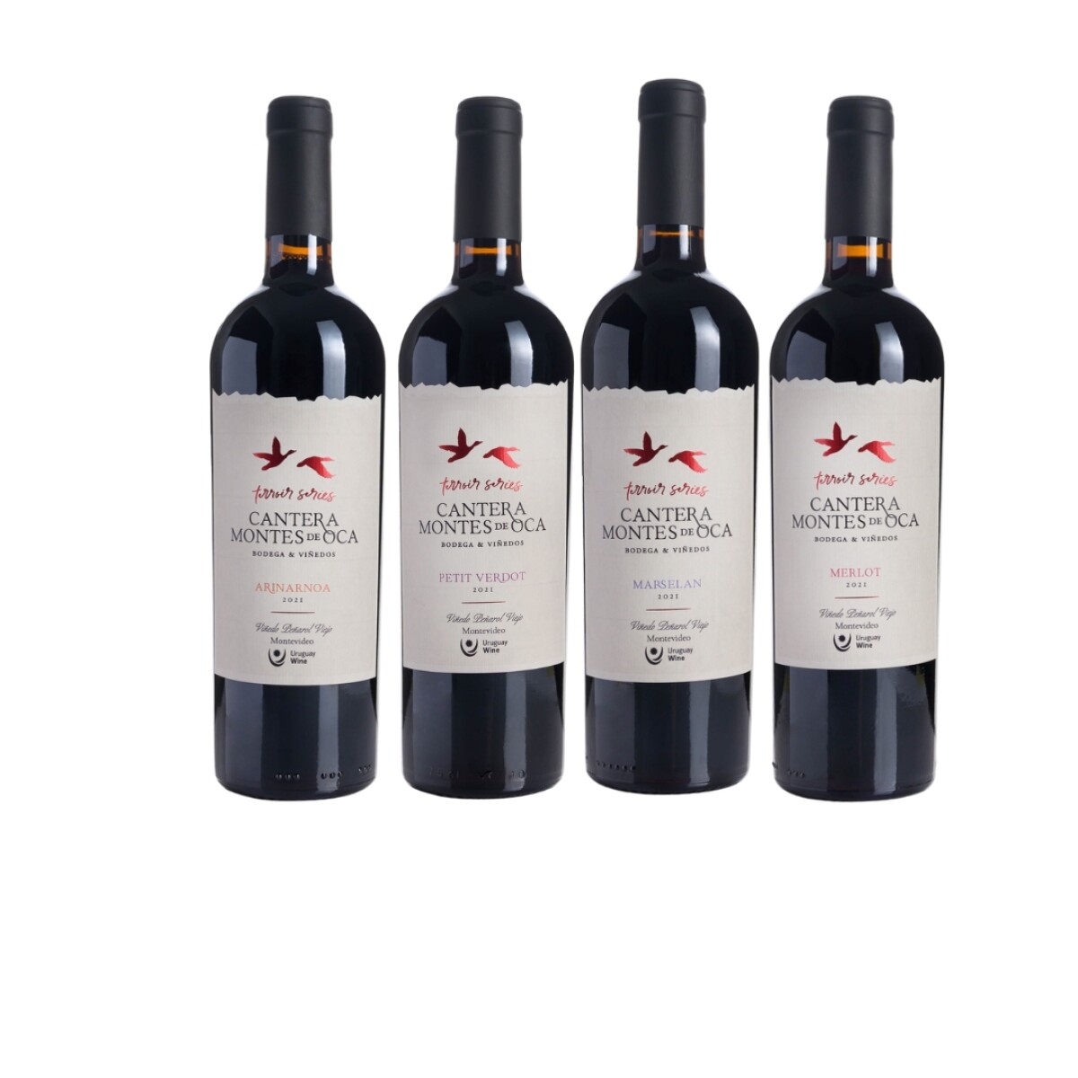 4 cepas bien diferentes Arinarnoa, Petit Verdot, Marselán, Merlot 