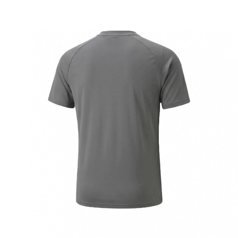 Remera Peñarol Puma Evostripe 05