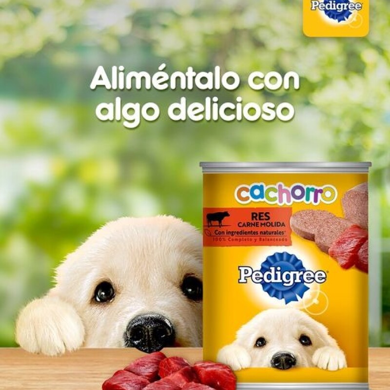 PEDIGREE PATÉ LATA CACHORRO 340 GRAMOS PEDIGREE PATÉ LATA CACHORRO 340 GRAMOS