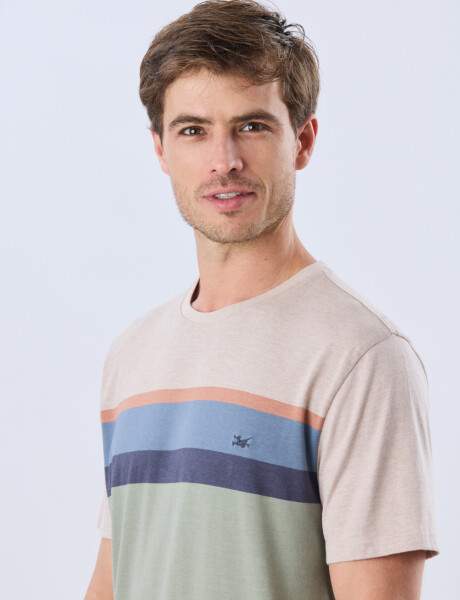 REMERA RAYADA DE ALGODÓN Pistacho