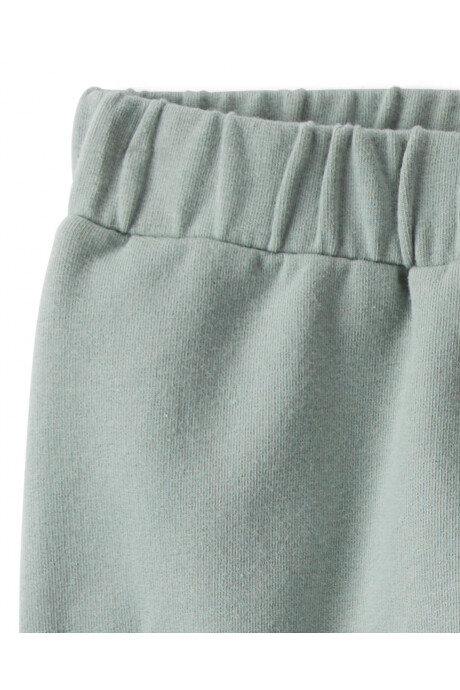 Pack dos pantalones de algodón orgánico Sin color