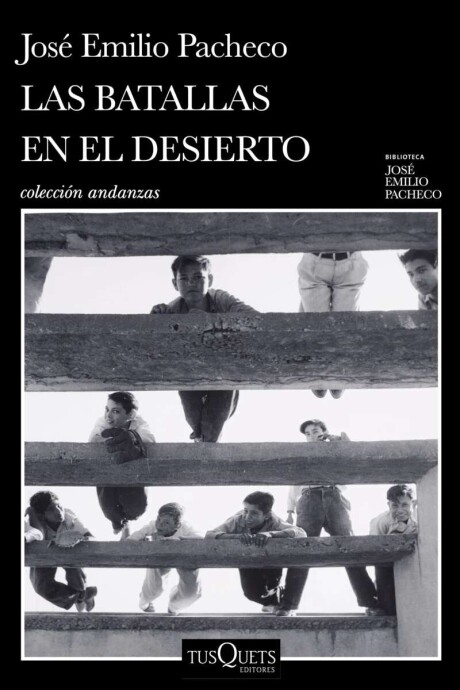 LAS BATALLAS DEL DESIERTO LAS BATALLAS DEL DESIERTO