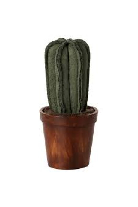 CACTUS Y MACETA CACTUS Y MACETA