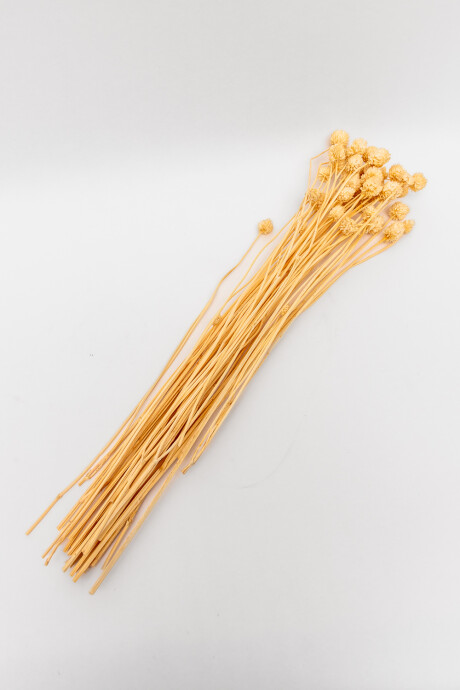 Deco Floral Flores Secas Color Unico