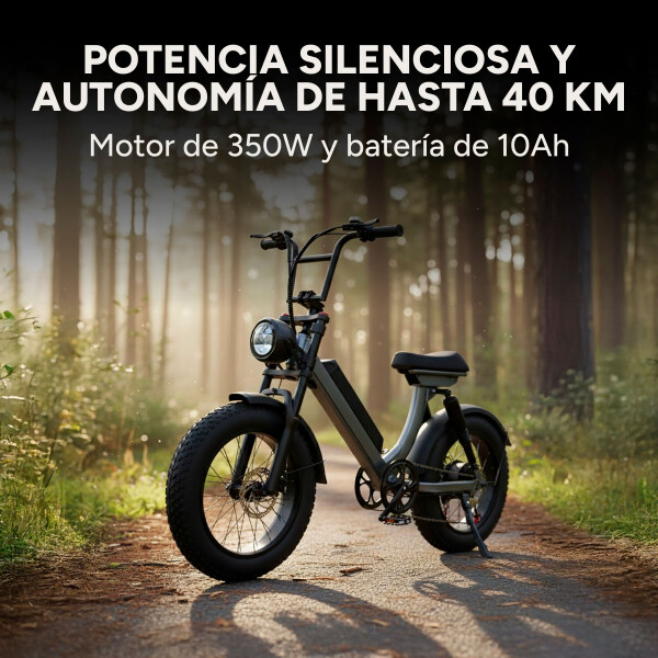Bicicleta Electrica GoGreen Road Rueda Ancha 500w Bat 10Ah Color Negro