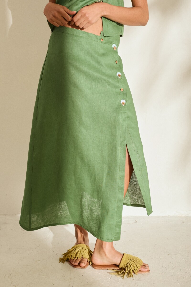 FALDA RAIZ BIOMA Verde