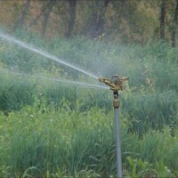 Carro de riego agrícola 1 1/2"