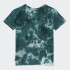 Remera Vans Cloud Wash Logo Verde