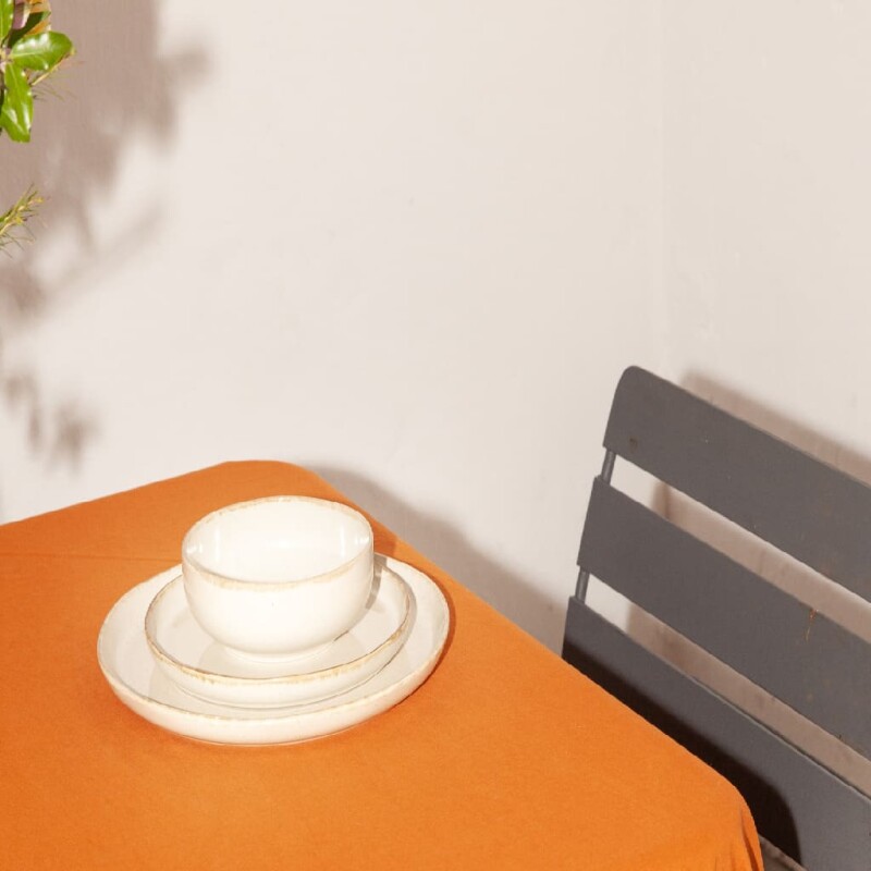 Plato principal rústico cerámica Plato principal rústico cerámica