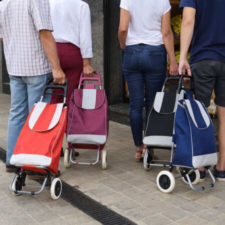 Carrito de Feria Compras de Lona con ruedas Carrito de Feria Compras de Lona con ruedas