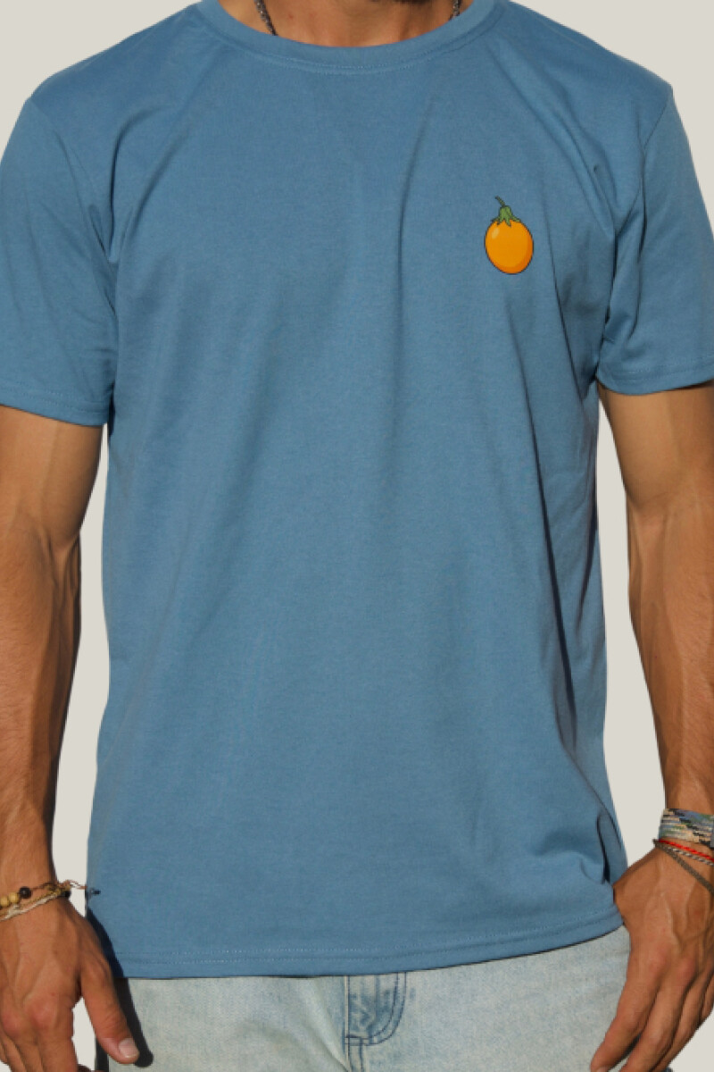 Camiseta Mburucuya Brixton Azul Piedra