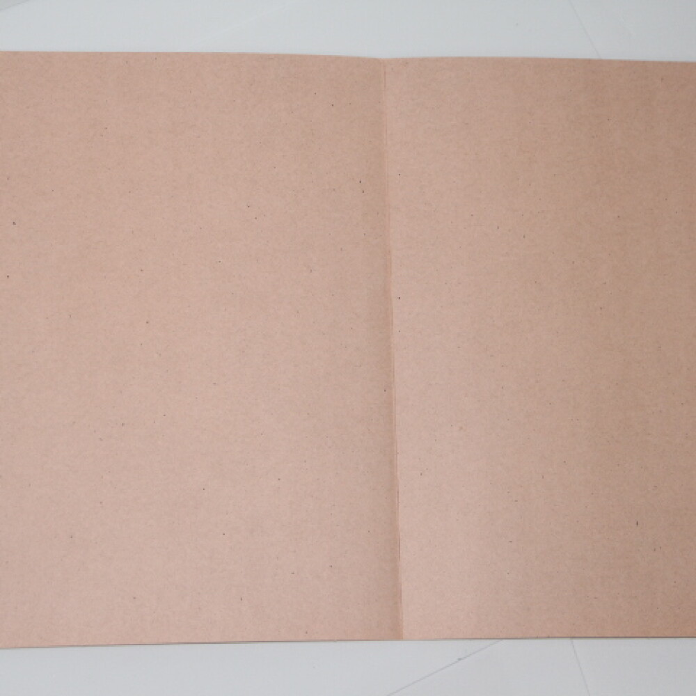 DOCENA DE CARPETAS PAPIRO PARA FICHERO 20 DOCENA DE CARPETAS PAPIRO PARA FICHERO 20