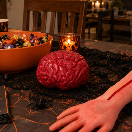 Cerebro decorativo Sc