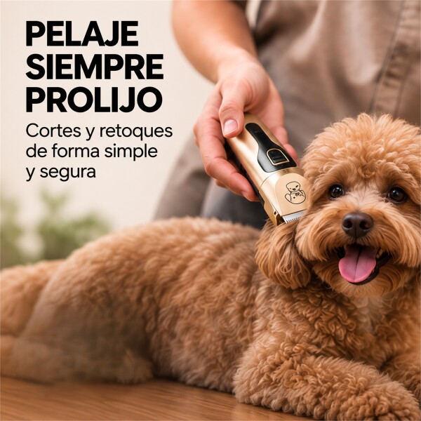 Máquina Corta Pelo Mascota USB-C Dorado