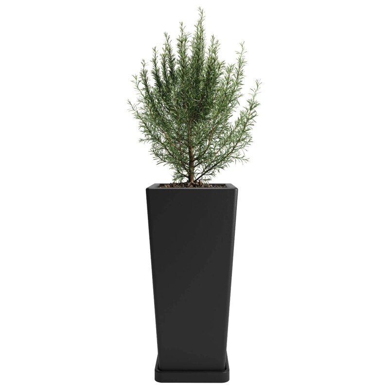 Macetero Piramidal 45 Negro c/Plato, Alto 45cm x 21.5cm Ancho Boca x 15.6 Base, 20 lts Macetero Piramidal 45 Negro c/Plato, Alto 45cm x 21.5cm Ancho Boca x 15.6 Base, 20 lts