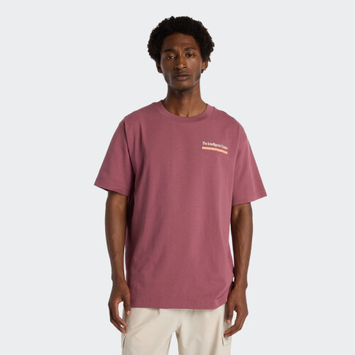 Remera New Balance Intelligent Choice Rojo