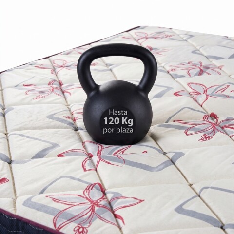 Conjunto Sommier TERMINUS Espuma Reversible - 2 Plazas 140 x 190 x 18 - Hasta 120kg Conjunto Sommier TERMINUS Espuma Reversible - 2 Plazas 140 x 190 x 18 - Hasta 120kg