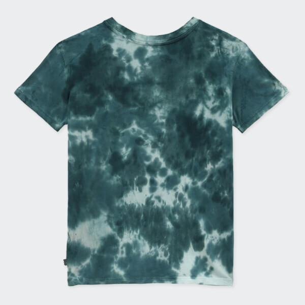 Remera Vans Cloud Wash Logo Verde