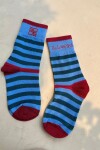 Socks Rule Celeste