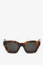 Barrosa Cheetah Tortoise Crudo