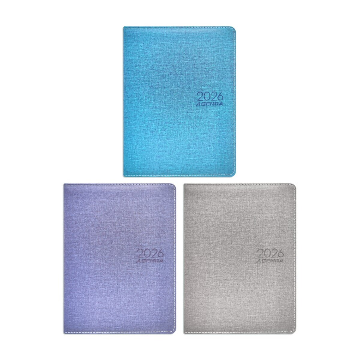 Agenda Flip 2025 HS0976 Classic Varios Modelos 