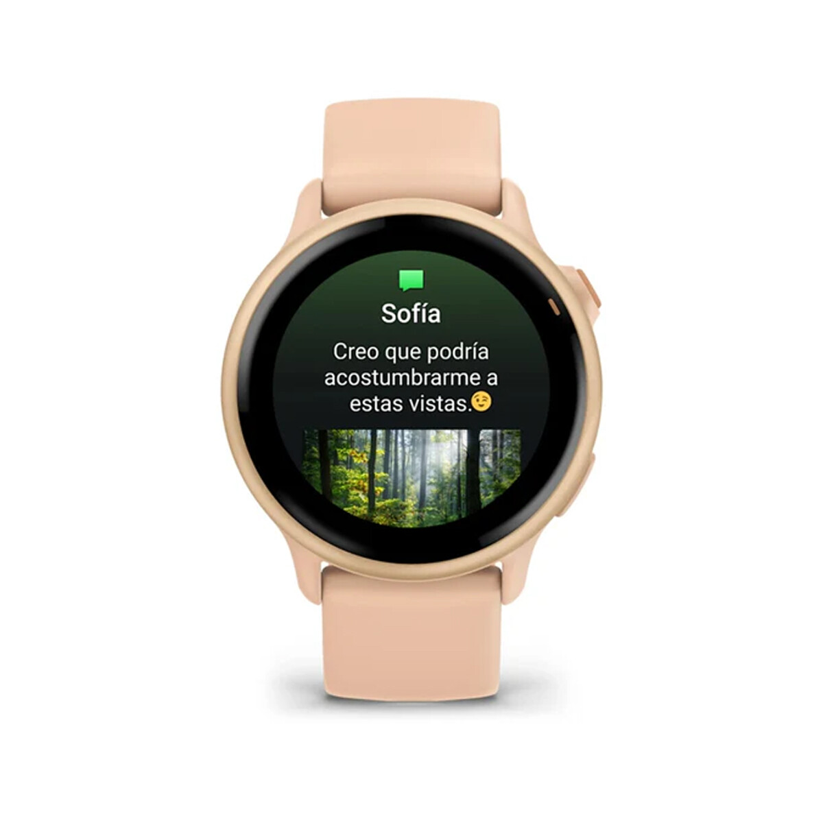 Reloj Smartwatch Garmin Vivoactive 6 Salmon 
