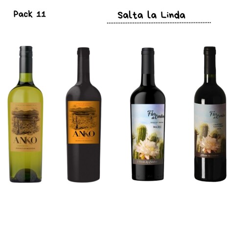 Salta La Linda Salta La Linda