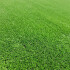 Césped Sintético Pasto Artificial 2cm Exterior 10 M2 Jardín Césped Sintético Pasto Artificial 2cm Exterior 10 M2 Jardín