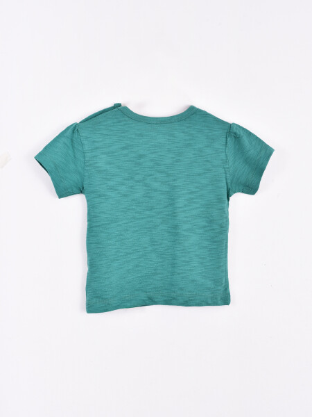 REMERA POLONIA VERDE (V)