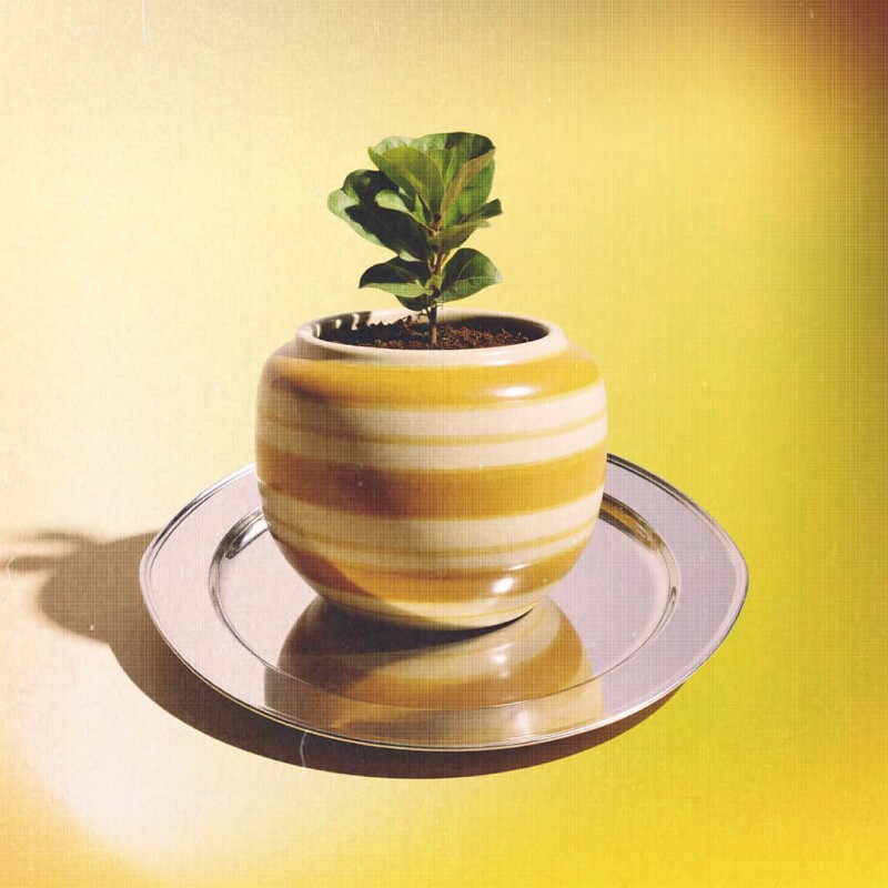 Maceta de carámica Riviera - Amarillo Maceta de carámica Riviera - Amarillo