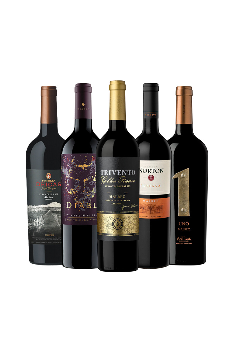 Pack Bacán Selección El origen del carácter - Malbec Profundo x5 vinos 