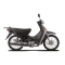 Moto Baccio Cub Px70cc - Gris