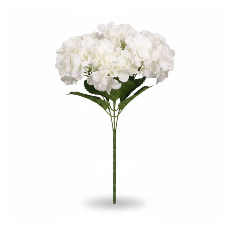 Ramo de 5 Hortensias Blanca