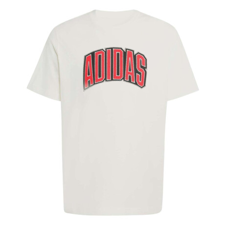 Remera Stadium Collegiate Graphic De Hombre Blanco