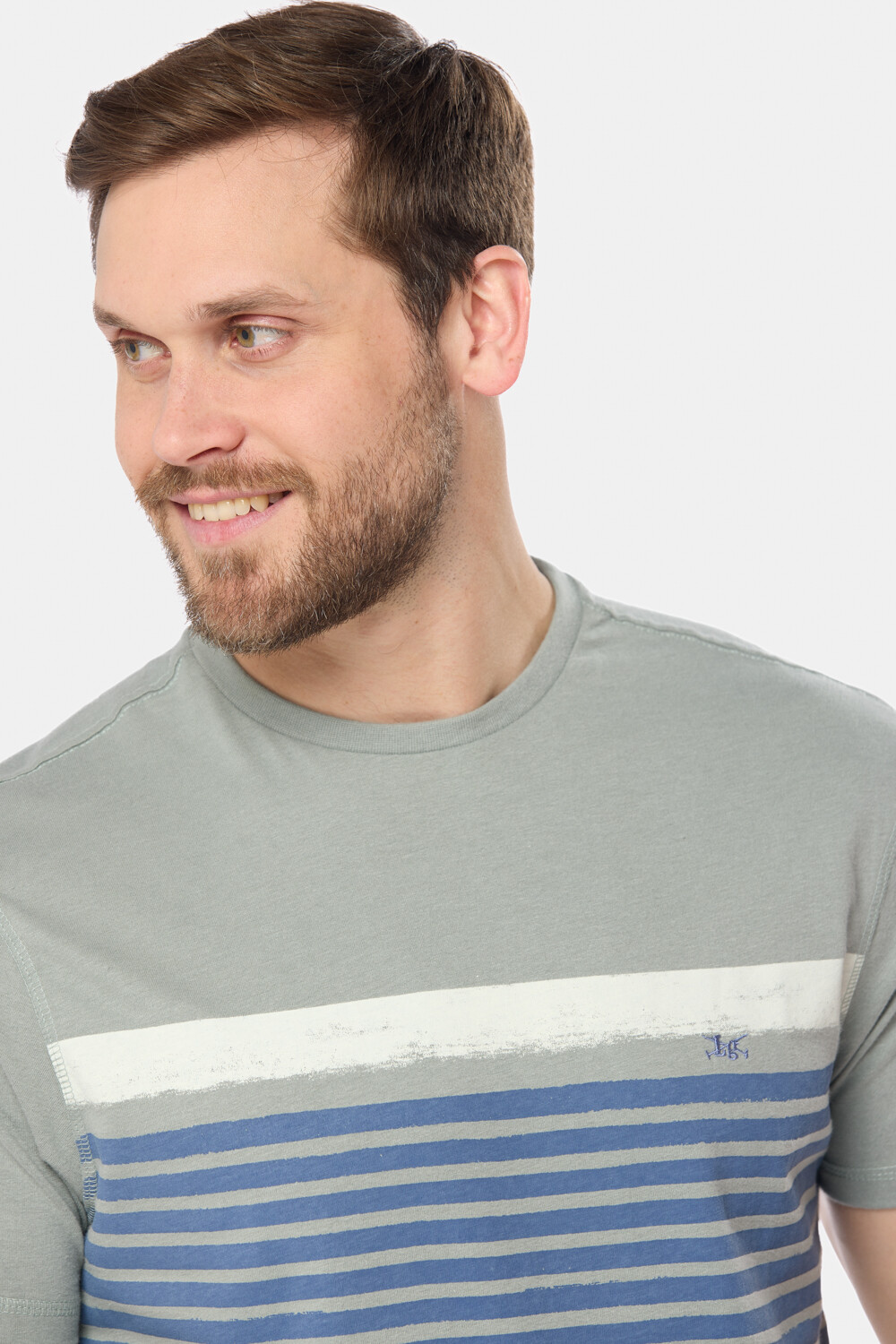 REMERA RAYADA Pistacho