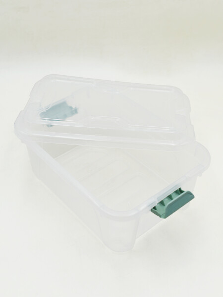CAJA ORGANIZADORA PLASTICA 5LTS 30X21.5X13.5CM VERDE