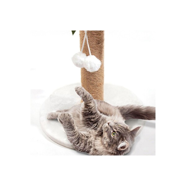 Juguete Rascador Palmera Arbol Para Gato Pom Pom Mascotas Juguete Rascador Palmera Arbol Para Gato Pom Pom Mascotas