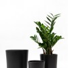 SET 3 MACETAS CERAMICAS CON PLATO NEGRO