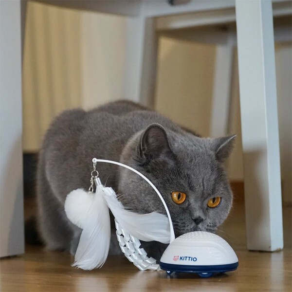 Juguete Interactivo Gatos Kittio Movimientos Sonidos Pluma Juguete Interactivo Gatos Kittio Movimientos Sonidos Pluma