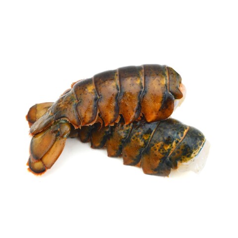 COLA DE LANGOSTA COMUN DEL CARIBE 180 - 210 grs (calibre 7) Cola De Langosta Comun Del Caribe 180 - 210 Grs (calibre 7)