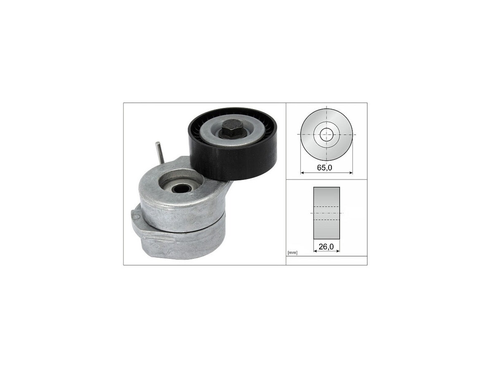Tensor Correa Accesorios 