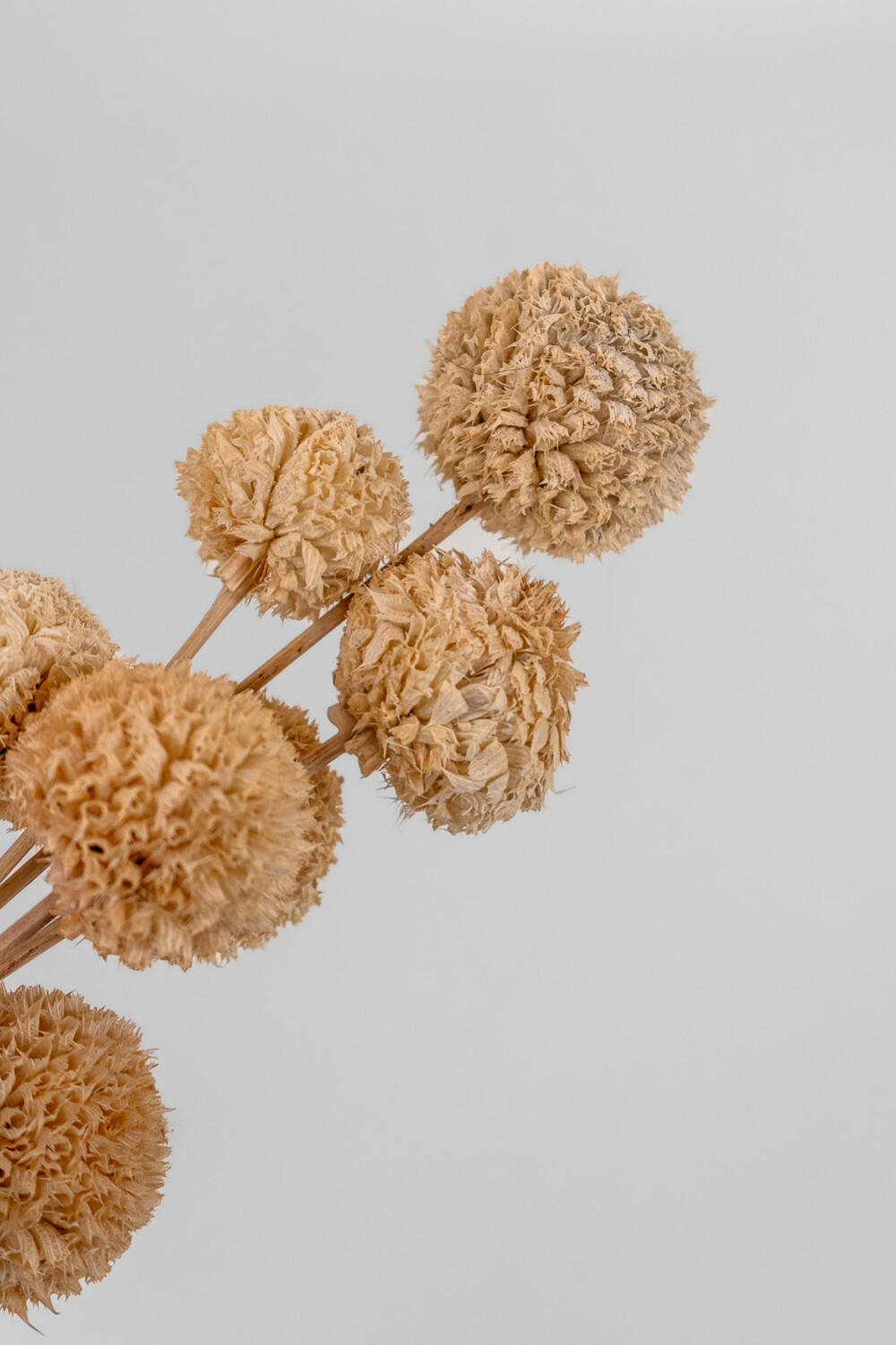 Deco Floral Ramo Bolas White Natural Color Unico