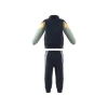 Conjunto Adidas Future Icons Azul