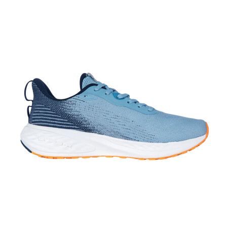 CHAMPIONES 361 CUSHION Blue & White