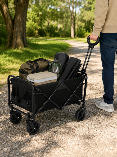 CARRO PLEGABLE NEGRO