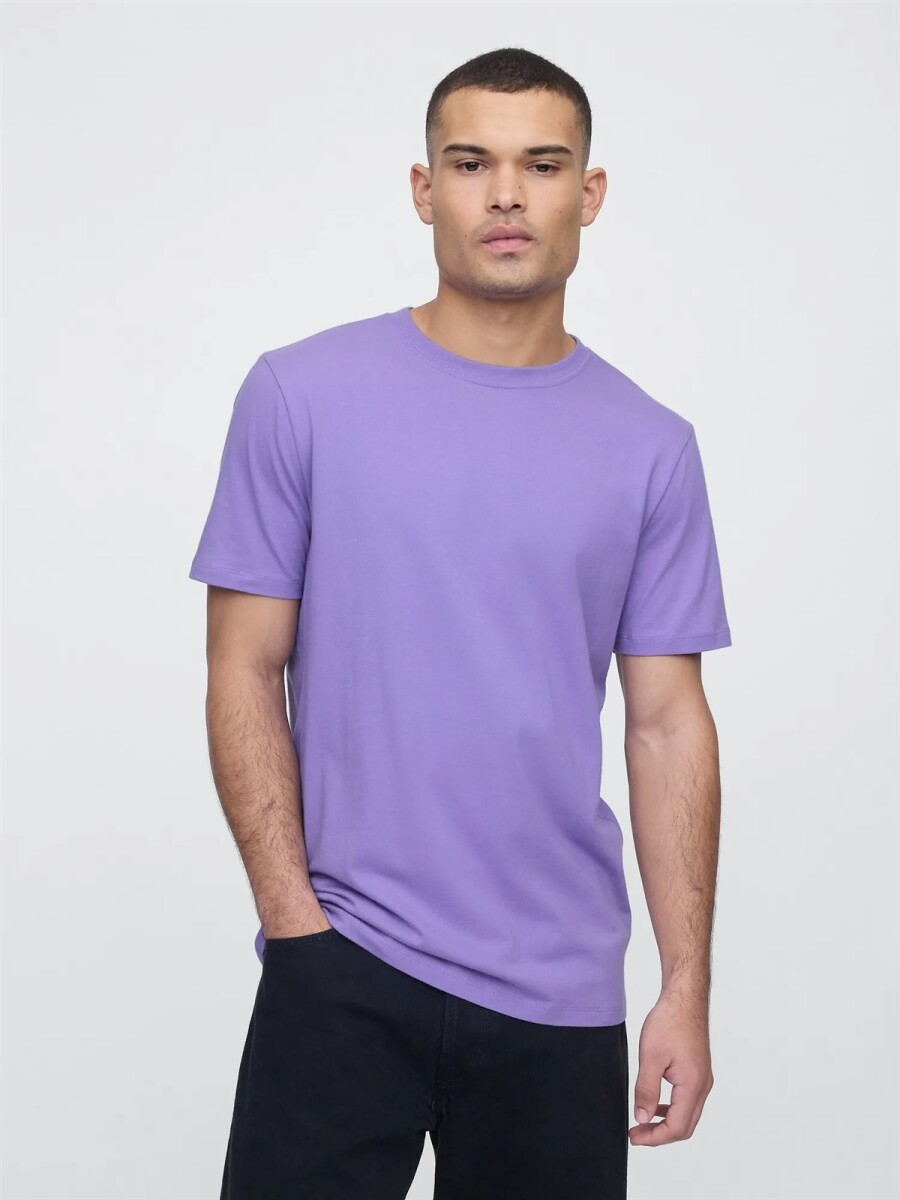 V-EVERYDAY SOFT CREW - SOLID - Pale Periwinkle 